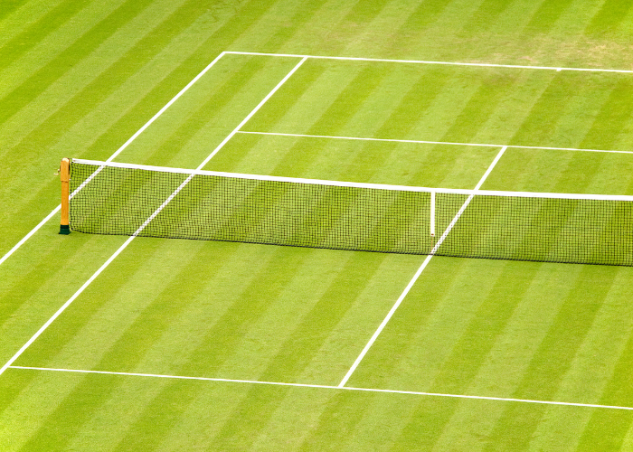 grass courts
